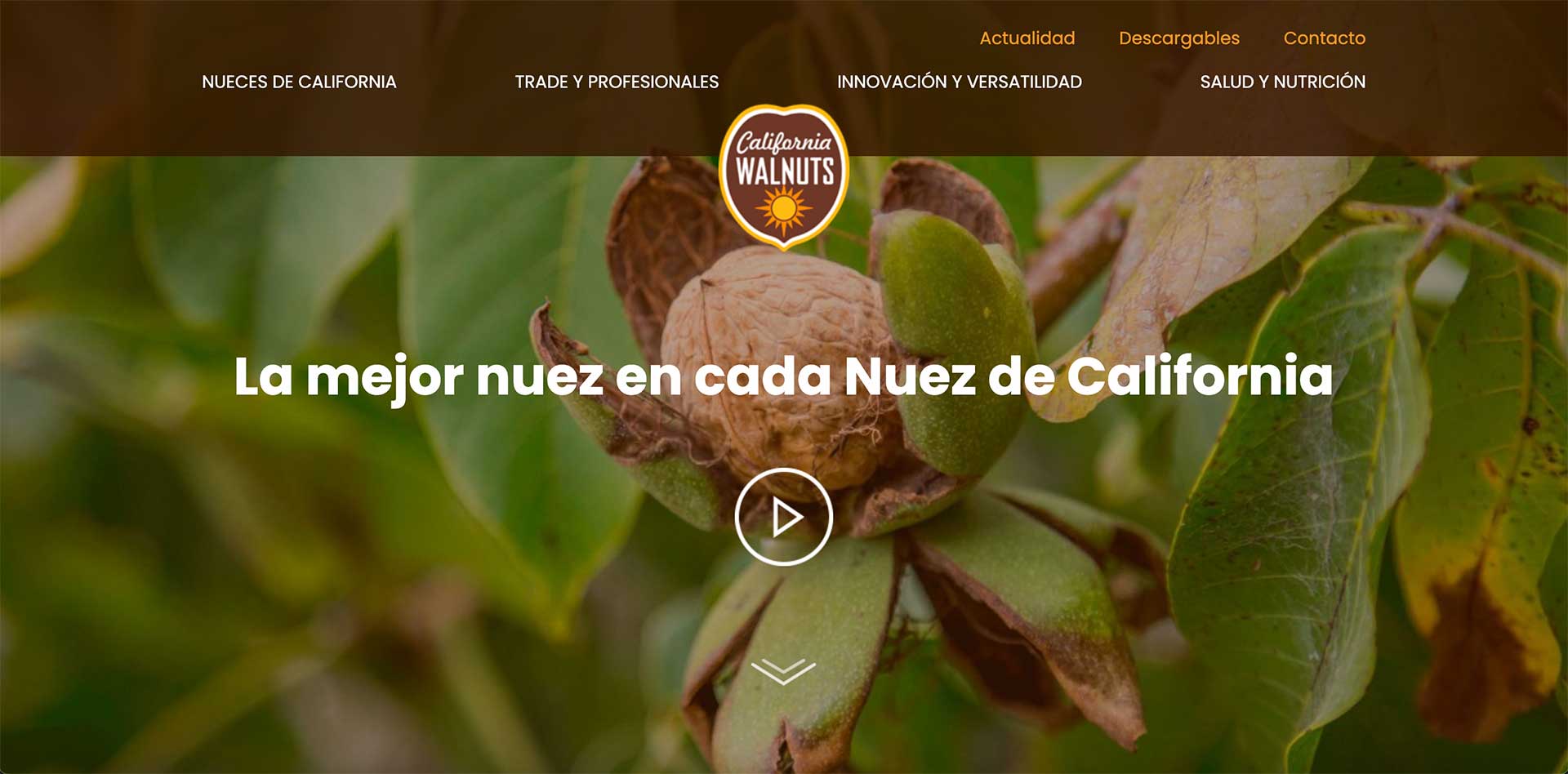california wallnuts